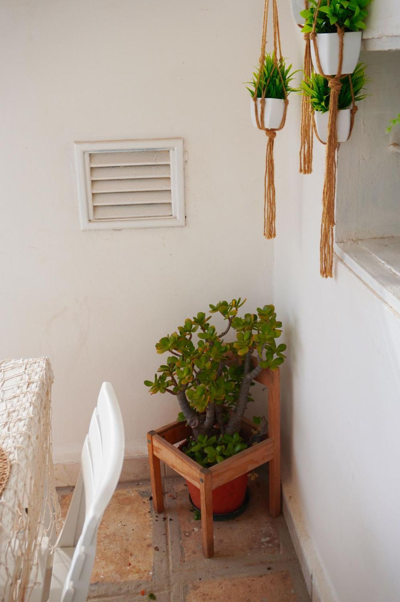 فيلا Casa Con Terrazza بولينيانو آ ماري المظهر الخارجي الصورة